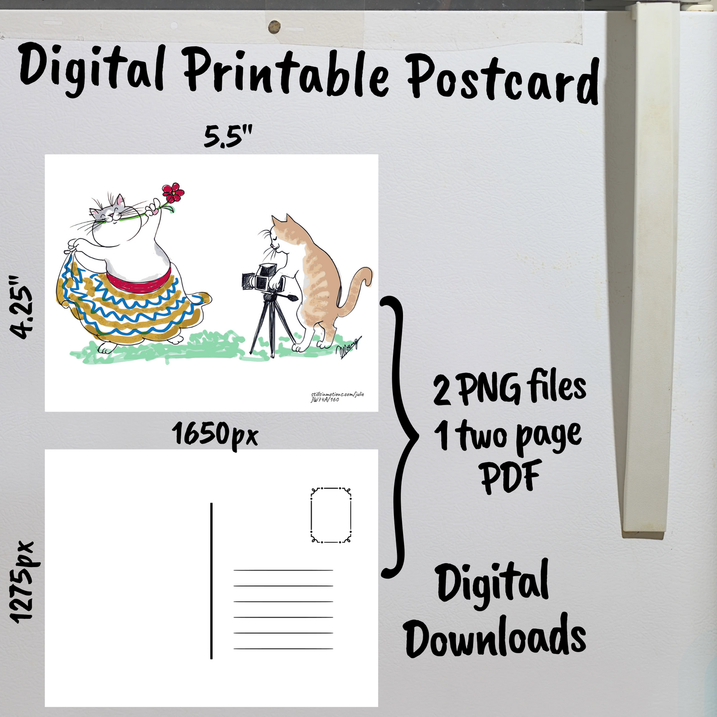 Camera Cats Digital Printable Postcard