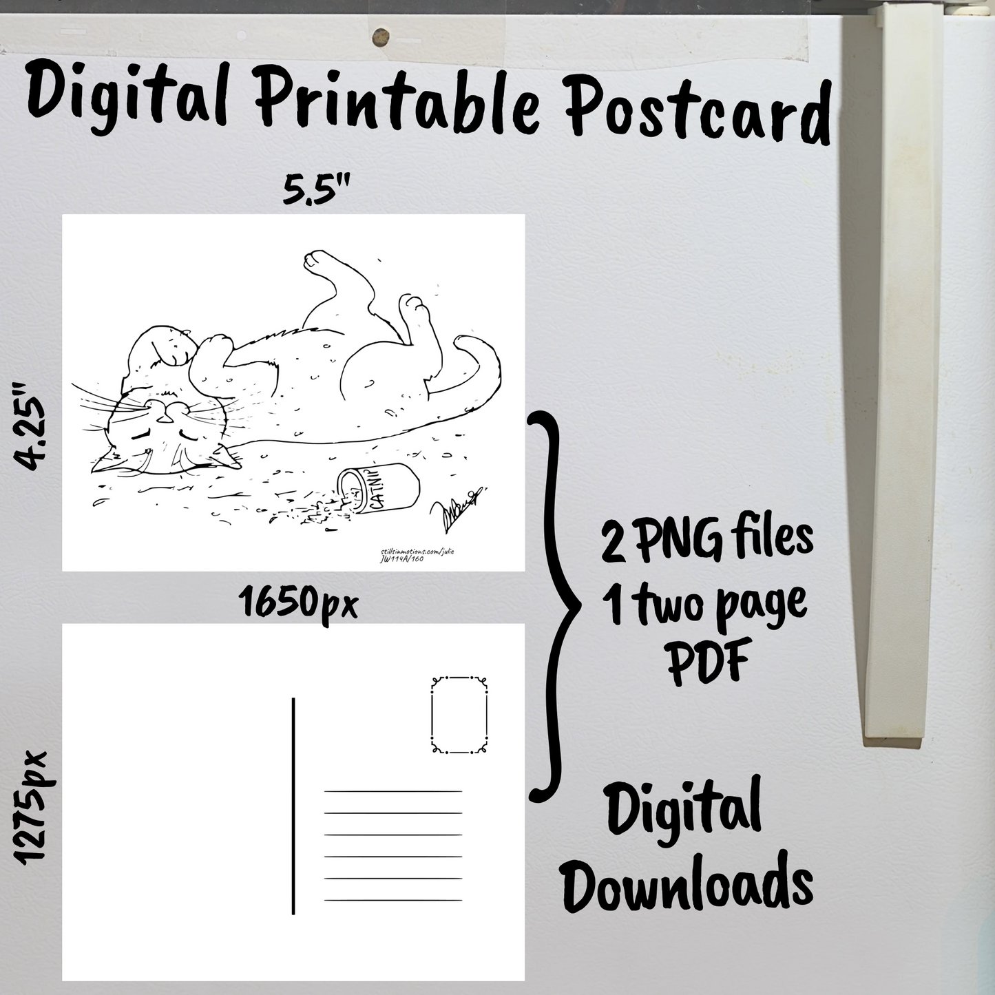 Uncolored Cats Digital Printable Postcards Set
