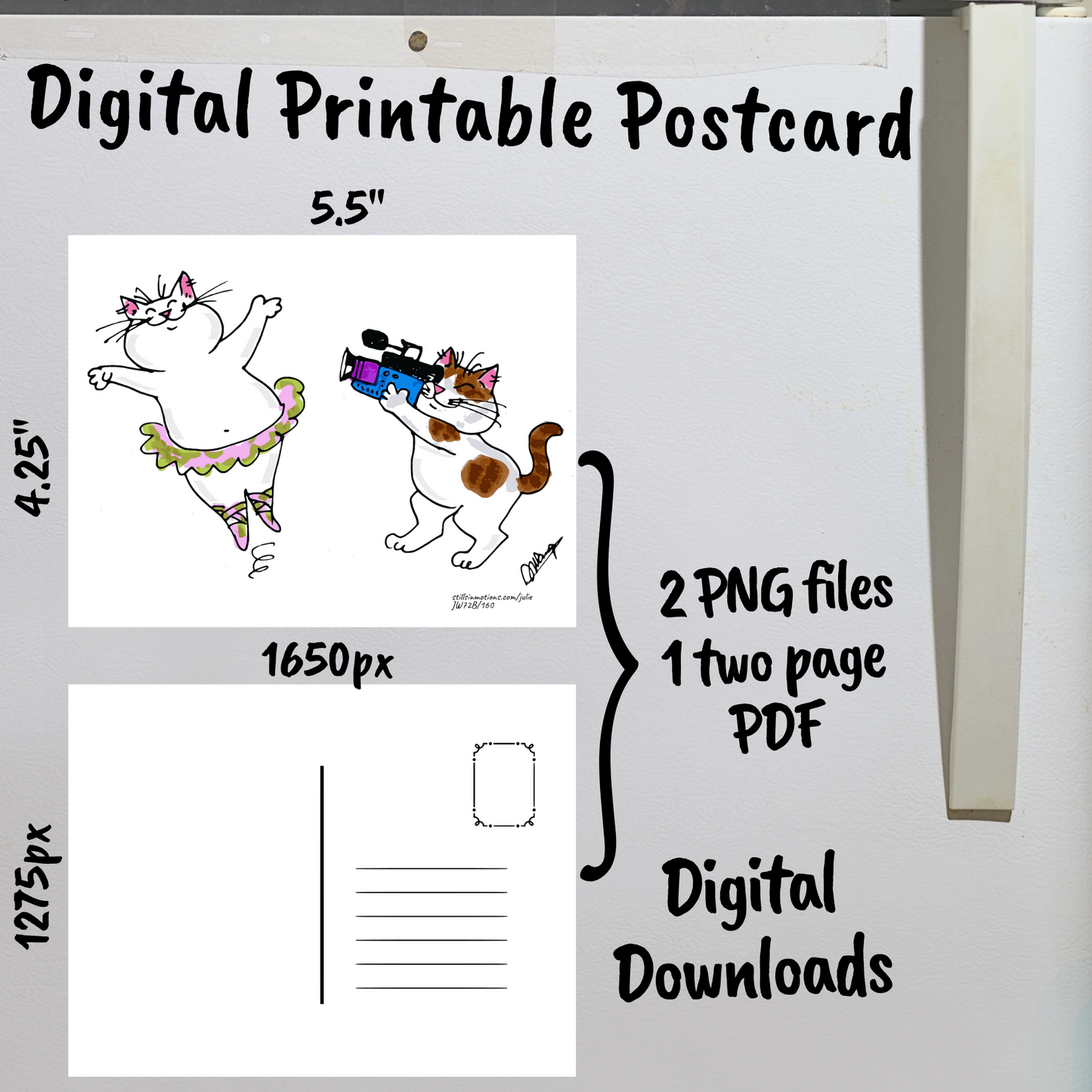 Camera Cats Digital Printable Postcard