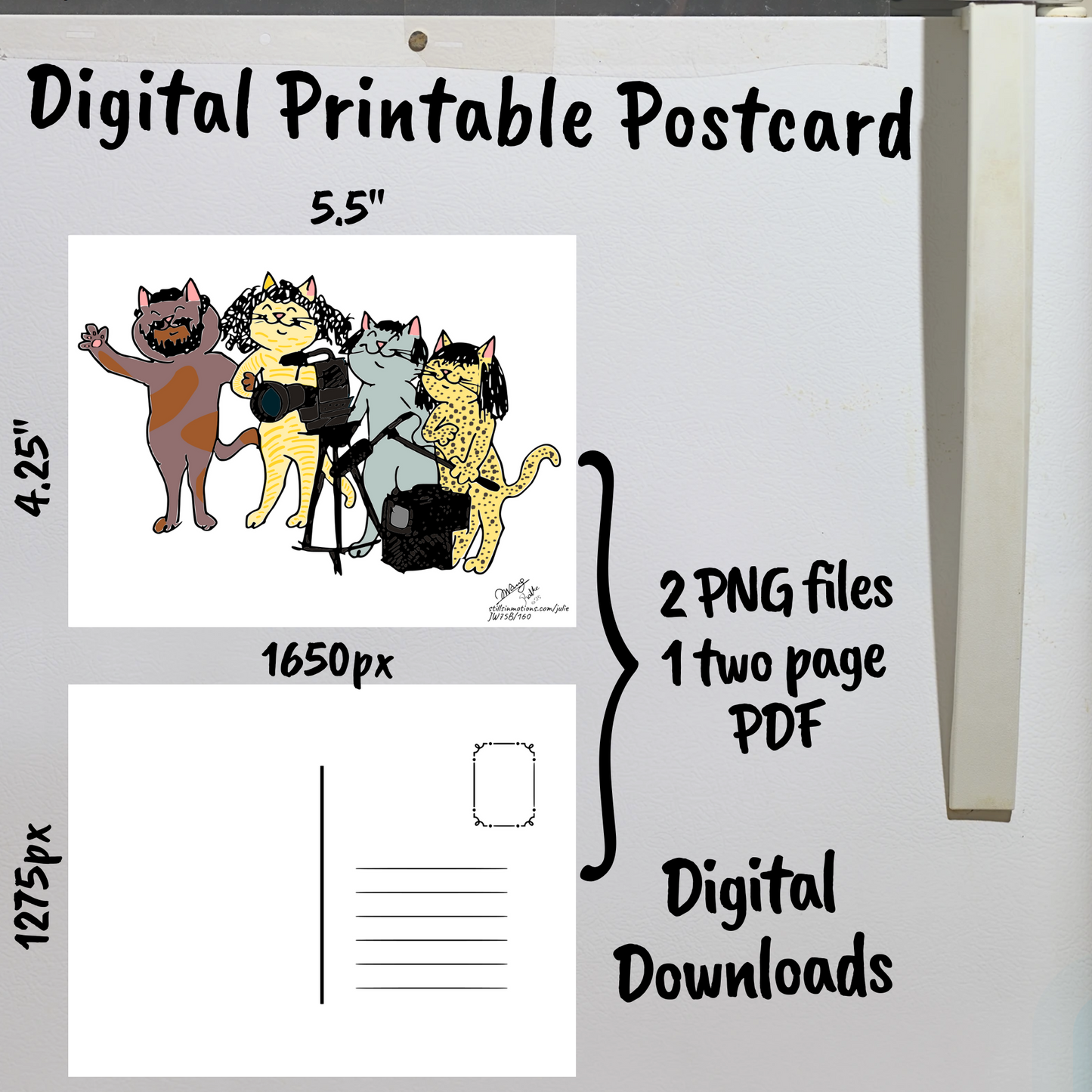 Camera Cats Digital Printable Postcard