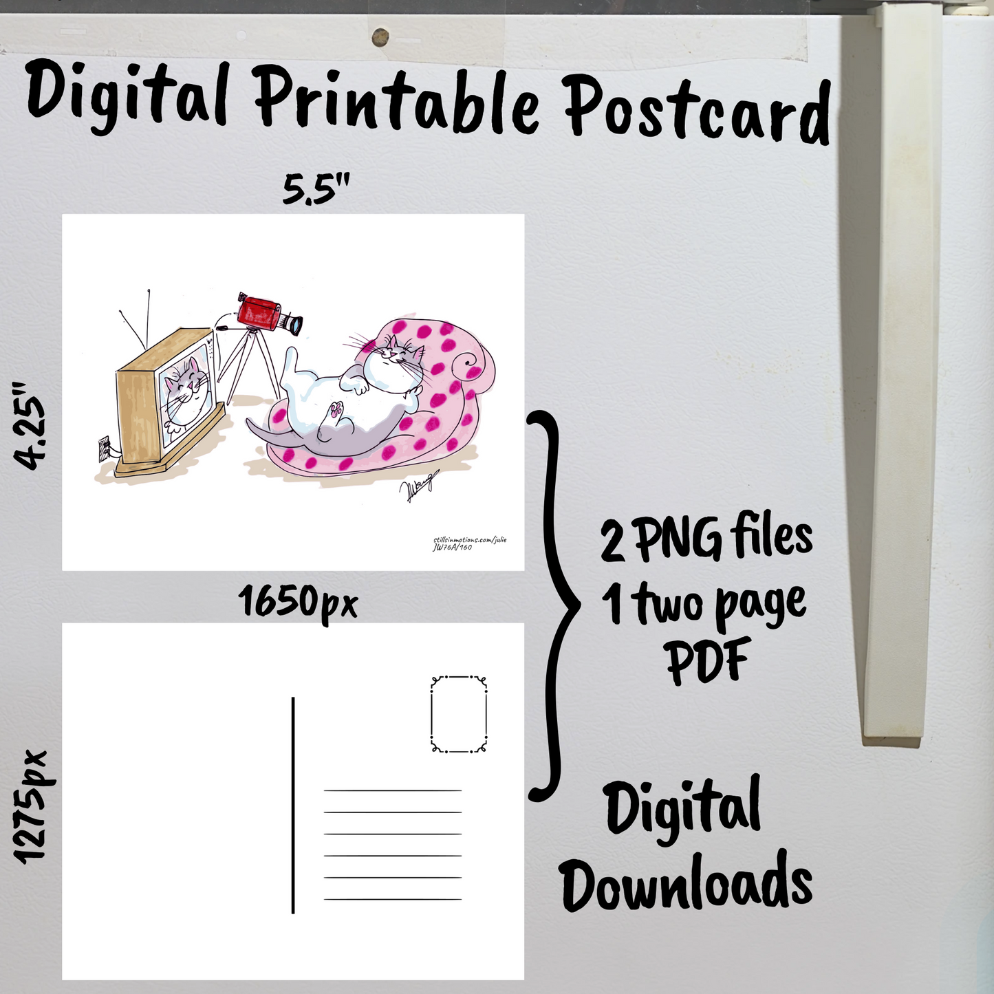 Camera Cats Digital Printable Postcard